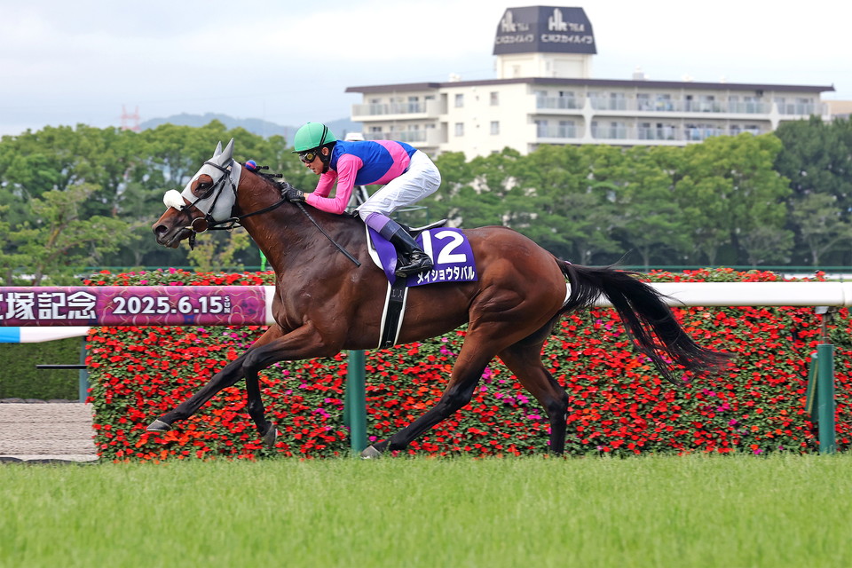『中央競馬全レース中継／パドック中継』　
