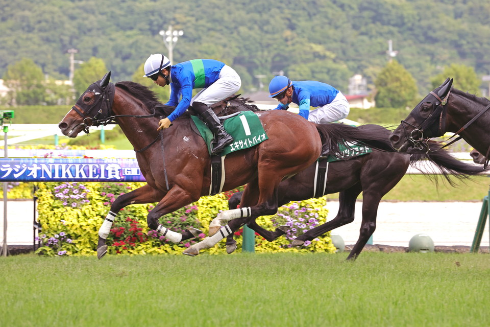 『中央競馬全レース中継／パドック中継』　