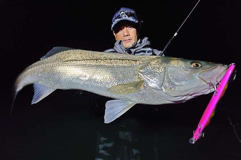 シーバス無双 14　戸澤岳雄がアウェーの地・石川県能登半島で磯マルを狙う