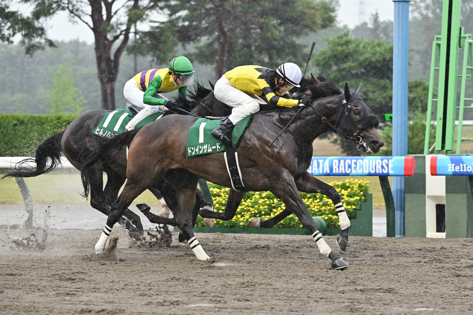 『中央競馬全レース中継/パドック中継』