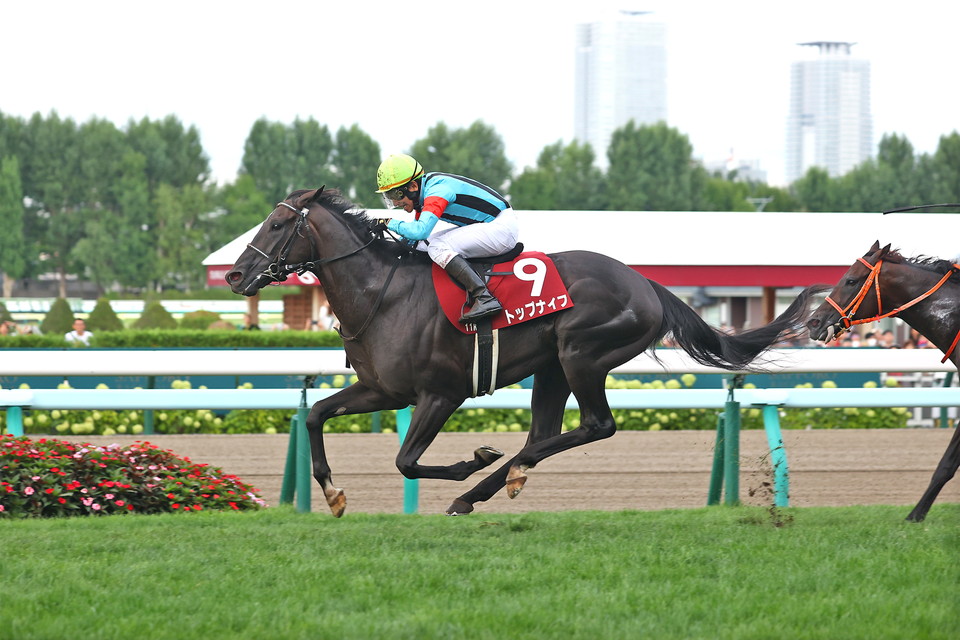 『中央競馬全レース中継／パドック中継』