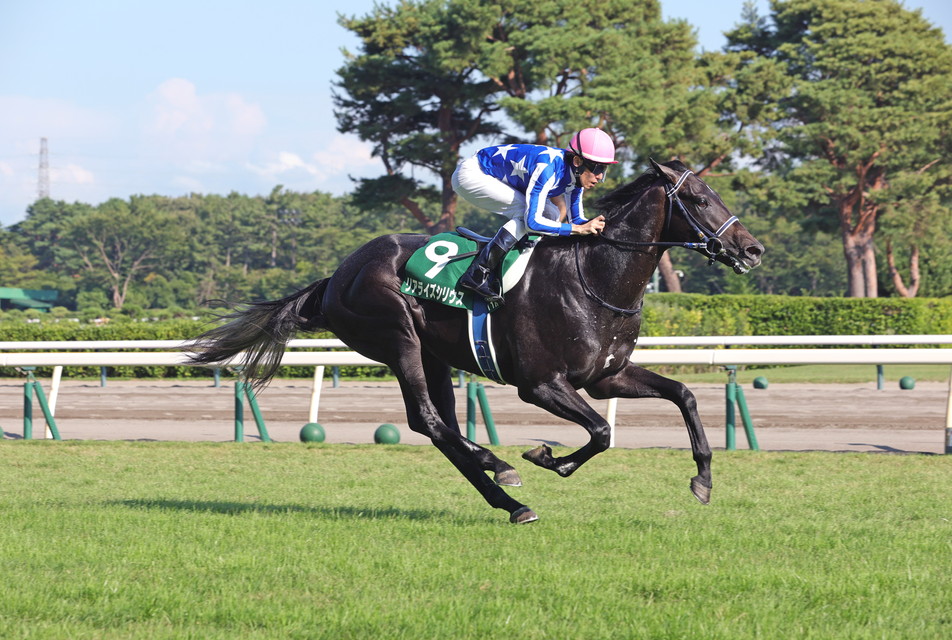『中央競馬全レース中継／パドック中継』