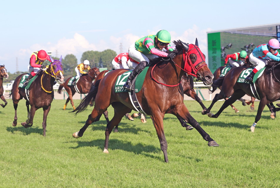 『中央競馬全レース中継／パドック中継』