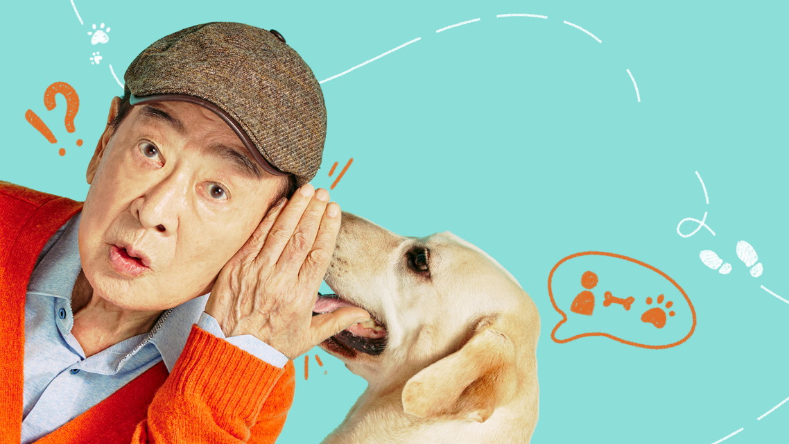 韓国ミステリーコメディ「犬と俺！？～ソフィは最高の相棒～」