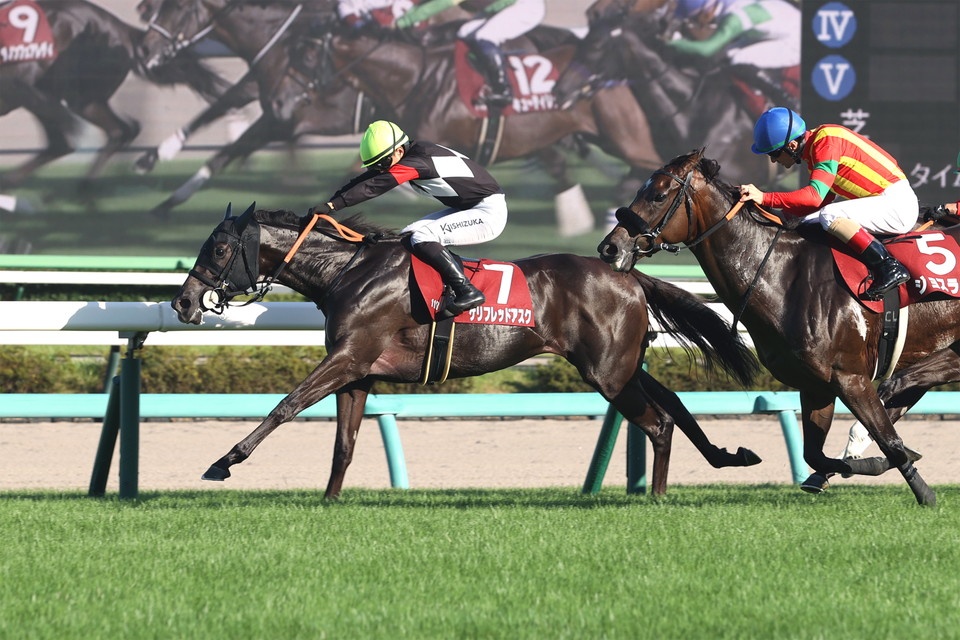 『中央競馬全レース中継／パドック中継』』　