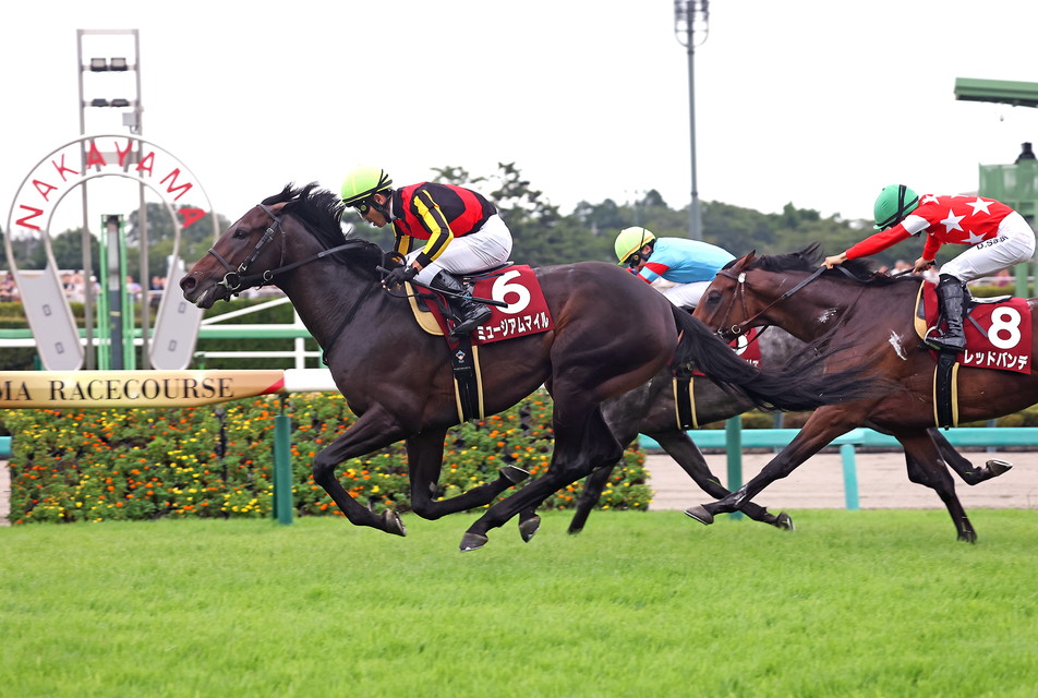 『中央競馬全レース中継』　※サイマル放送