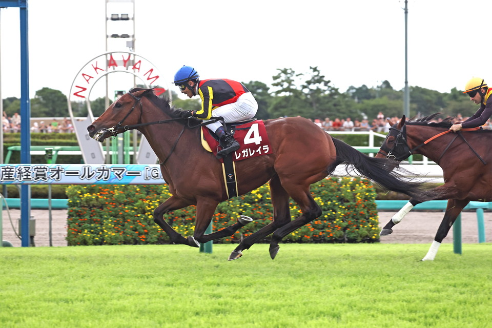 『中央競馬全レース中継』