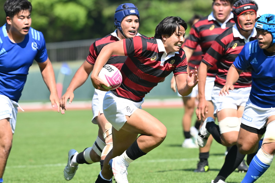 ラグビー 関東大学対抗戦 2026