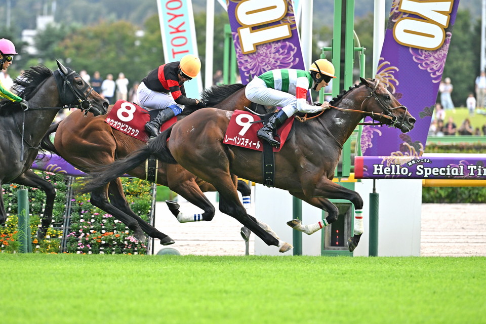 『中央競馬全レース中継/パドック中継』』