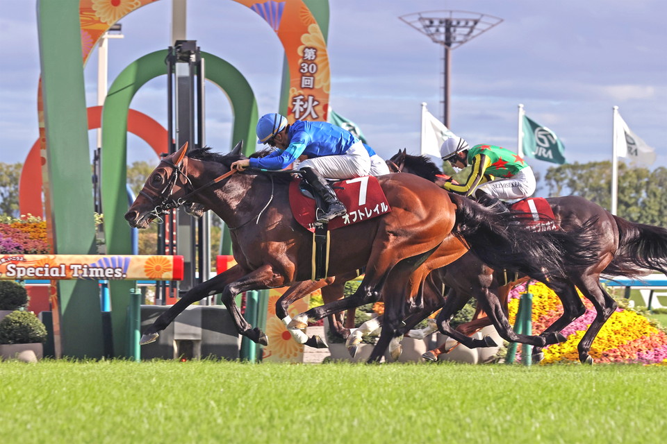 『中央競馬全レース中継』