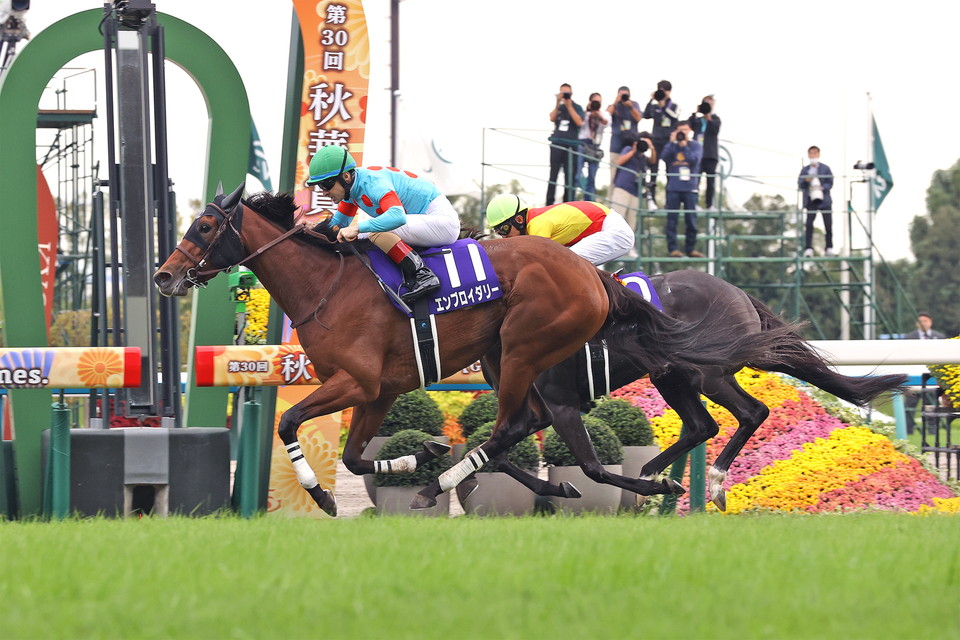 『中央競馬全レース中継』