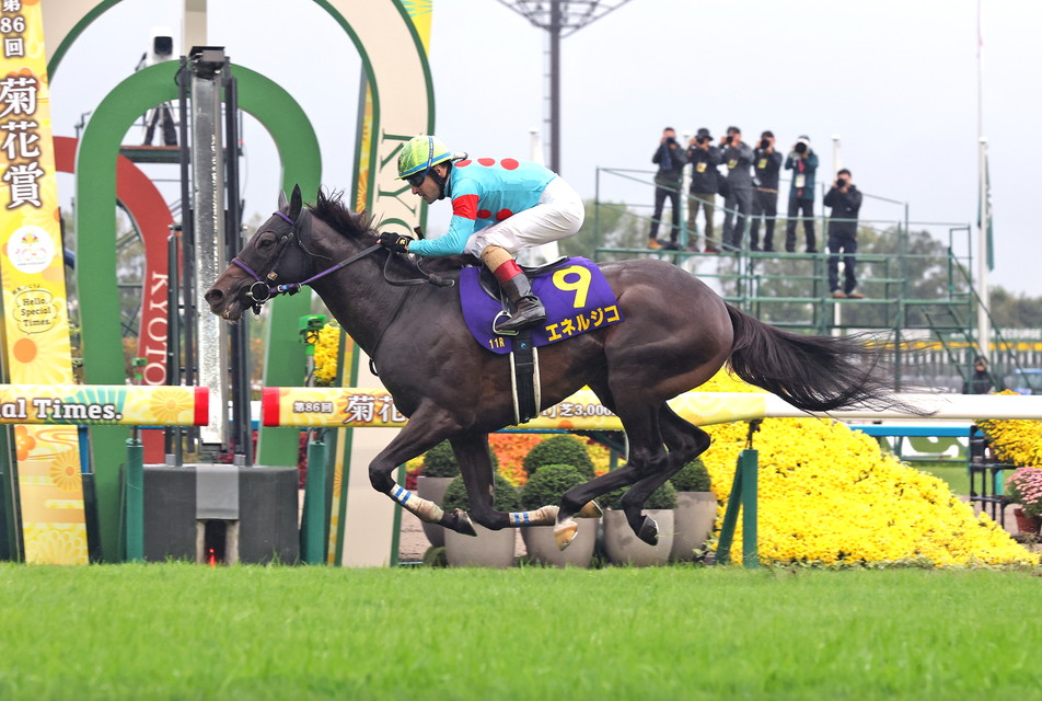 『中央競馬全レース中継』