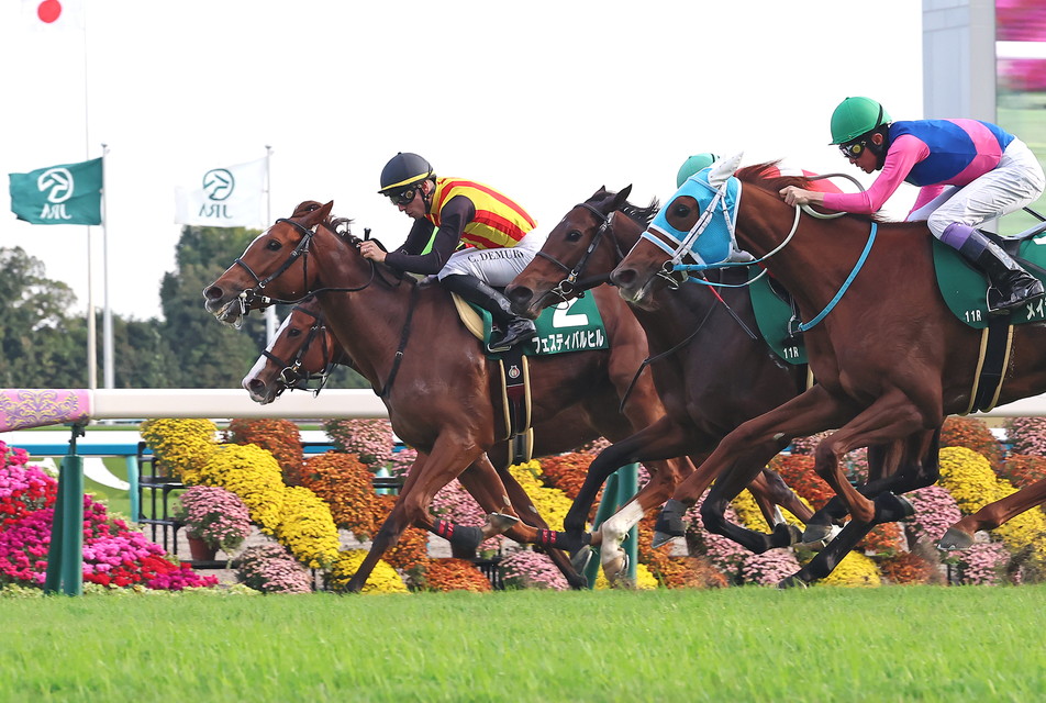 『中央競馬全レース中継』