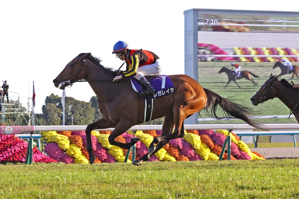 『中央競馬全レース中継』
