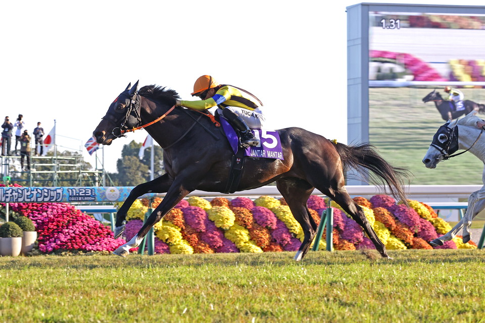 『中央競馬全レース中継』