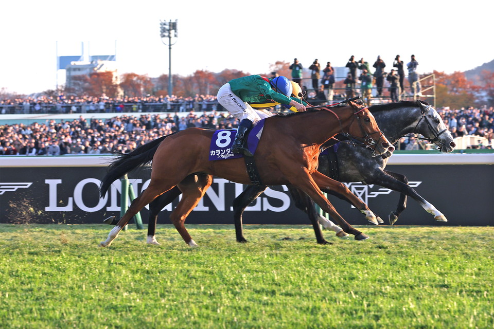 『中央競馬全レース中継』
