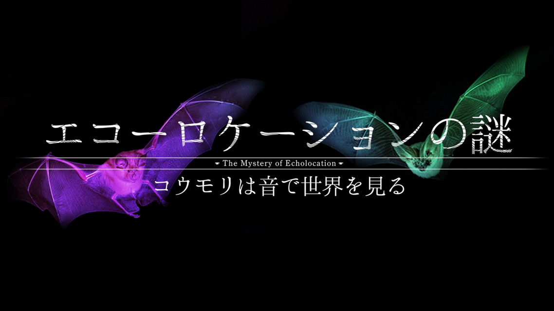 「ガリレオX」