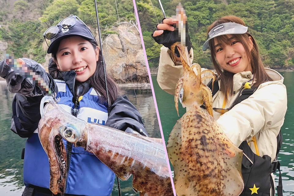 とことんエギパラダイス 177　三代目・愛海おねぃさん登場！秋のエギングシーズンを楽しみつくす