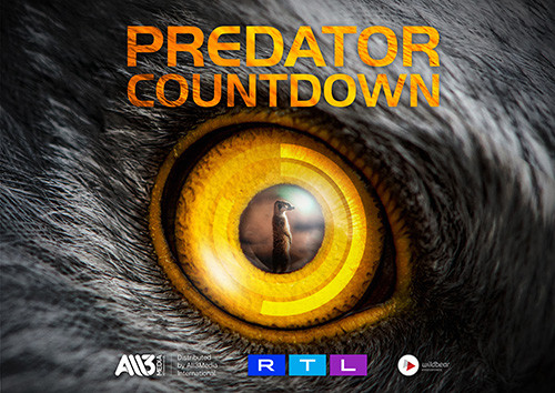 野生の攻防～捕食へのカウントダウン～（新）