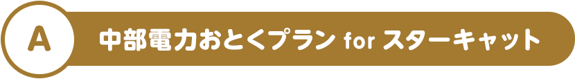 A 中部電力おとくプラン for スターキャット