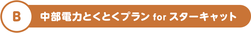 B 中部電力とくとくプラン for スターキャット