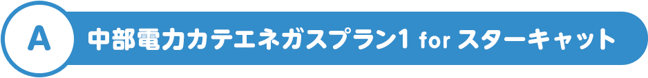 A 中部電力カテエネガスプラン1 for スターキャット