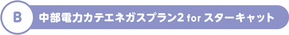 B 中部電力カテエネガスプラン2 for スターキャット