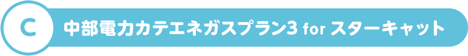 C 中部電力カテエネガスプラン3 for スターキャット