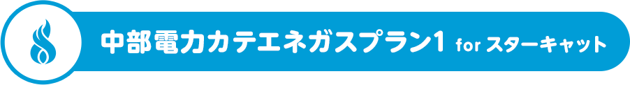 中部電力カテエネガスプラン1 for スターキャット