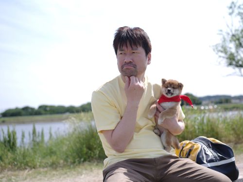 スターキャット12　12月の映画