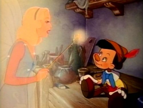 スターキャット12　6月の映画