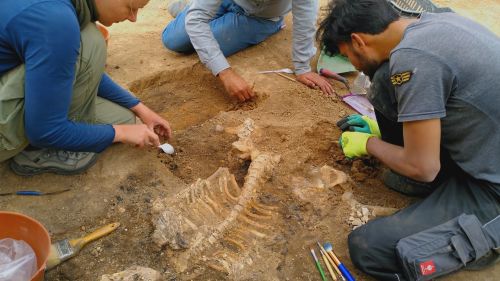 専門チャンネルおためしアワー！(2026年01月)_09