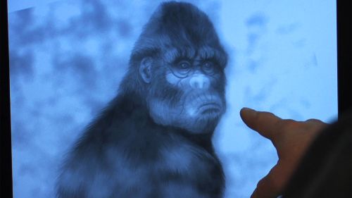 専門チャンネルおためしアワー！(2026年01月)_10