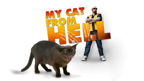 専門チャンネルおためしアワー！(2026年02月)_10