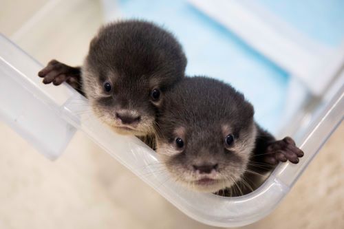 鳥羽水族館 もっと! 水の惑星紀行(2023年12月)