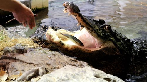 鳥羽水族館 もっと! 水の惑星紀行(2025年10月)