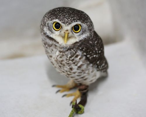 鳥羽水族館 もっと! 水の惑星紀行(2025年11月)