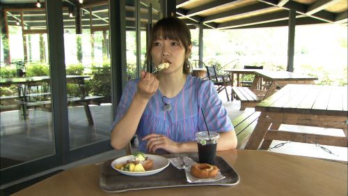 ぶらっと〇〇(2025年08月)