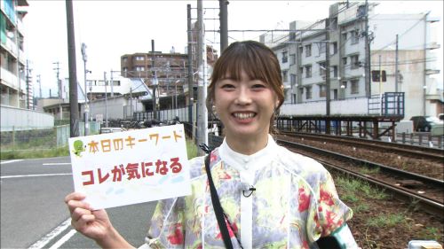 ぶらっと〇〇(2025年10月)