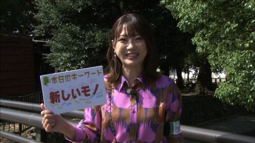 ぶらっと〇〇(2025年11月)