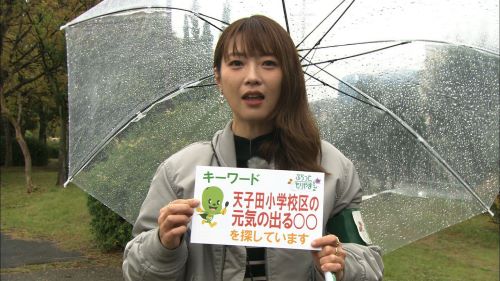 ぶらっともりやま(2023年12月)
